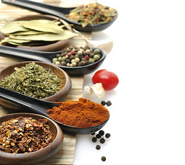 Image showing Spices