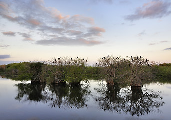 Image showing Sunset On The River