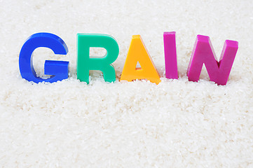 Image showing Grain concept