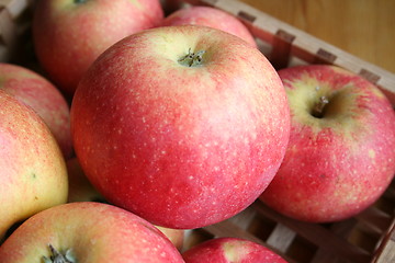 Image showing Sweet apples