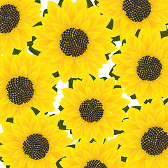 Image showing Sunflower card