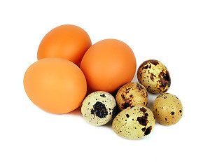 Image showing Quail and hens eggs isolated on white background