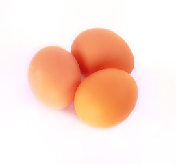 Image showing Eggs isolated on white