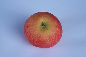 Image showing Swedish apple