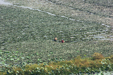 Image showing wet field and farmers