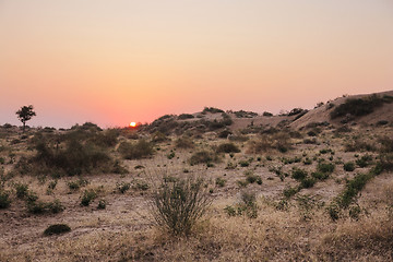 Image showing Thar Desert