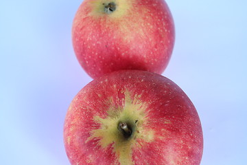 Image showing Apples