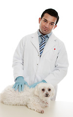 Image showing Vet with sick pet