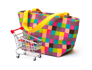 Image showing Vibrant Cloth Ladies Handbag with Shopping Cart