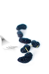 Image showing fresh ripe mulberry over white