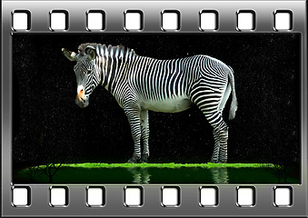 Image showing filmstrip