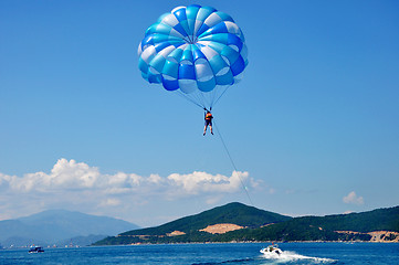 Image showing Paragliding