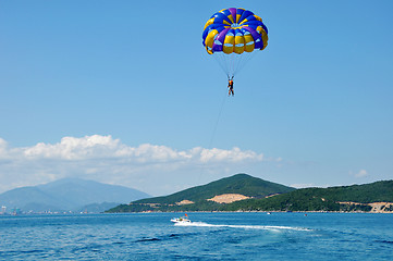 Image showing Paragliding