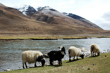 Image showing Landscape in the highland of Tibet