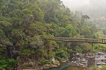 Image showing Wooden Bridge in the forest Guilin mountains, China