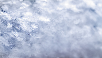 Image showing Snowflake in blue snow