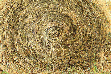 Image showing hay bales in a field ( detail )