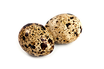 Image showing two quail eggs