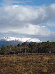 Image showing Snow covered Cairngorms summits,Scotland in may