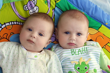 Image showing Twin baby boys