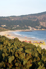 Image showing Camboinhas beach