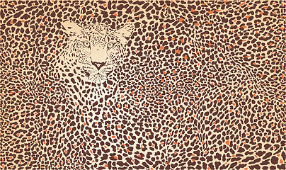 Image showing Pattern background leopard 