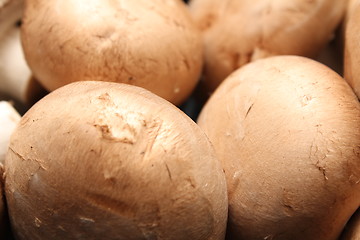 Image showing kitchen mushroom heads