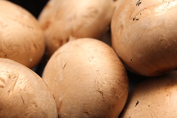 Image showing kitchen mushroom heads