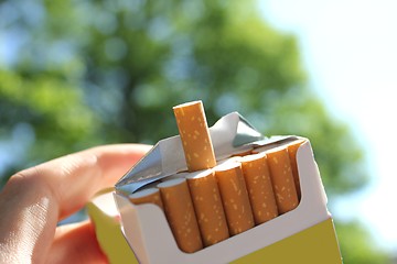 Image showing cigarettes in the park