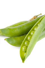 Image showing Ripe pea