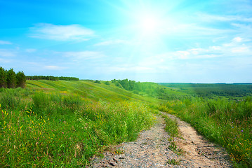 Image showing Summer landscape