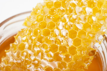 Image showing jar of organic honey