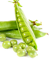 Image showing Ripe pea