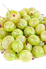 Image showing gooseberries