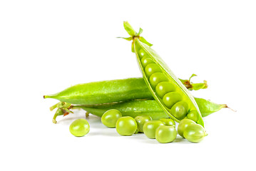 Image showing Ripe pea