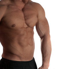 Image showing bodybuilder