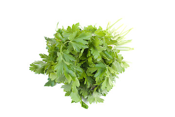 Image showing Bouquet of parsley