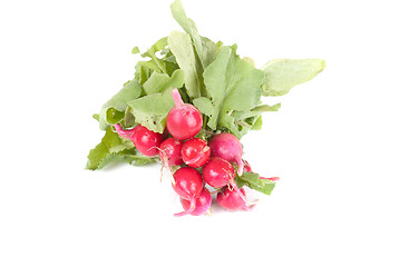 Image showing Fresh radishes