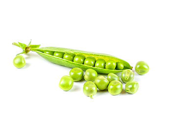 Image showing Ripe pea