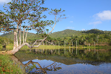 Image showing Cuba - Las Terrazas