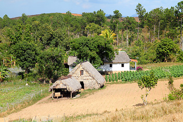 Image showing Cuba countryside