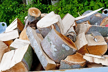 Image showing fuel-wood