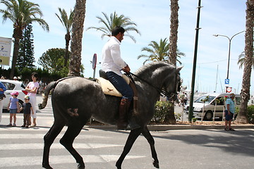 Image showing Fiesta in Torrevieja