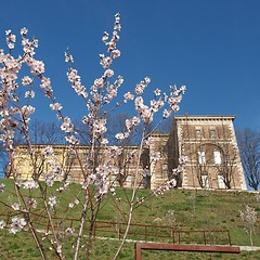 Image showing Castello di Rivoli, Italy