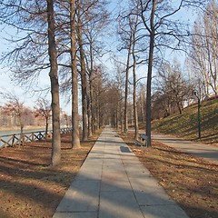 Image showing Path among trees