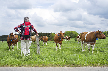 Image showing Hiker Standing By A Countryside Farmland