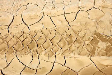 Image showing Wheels traces on dried soil