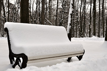 Image showing snow covered bench