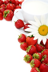 Image showing Ripe strawberries, cup of cream and chamomile.