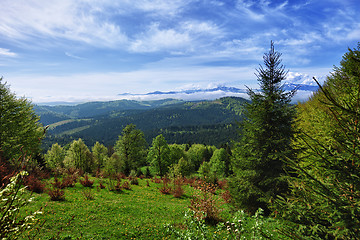 Image showing Beautiful mountain landscape - Carpathians